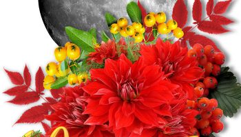 Цветя през октомври