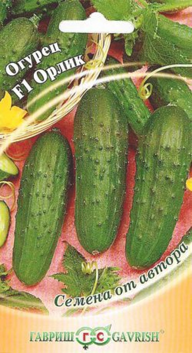 Сорт краставица Орлик
