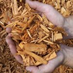 Дървени стърготини като мулч