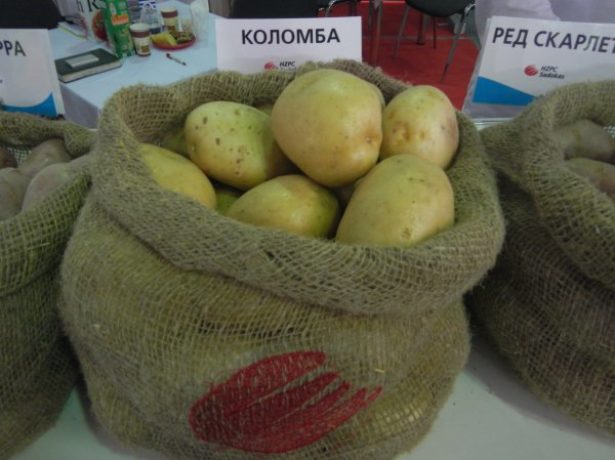 Коломба в чувал