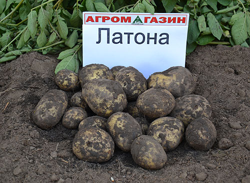 След копаене