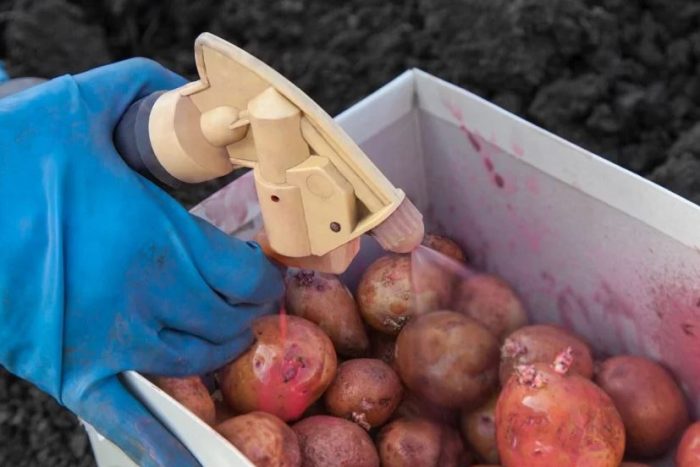 Преработка на картофи