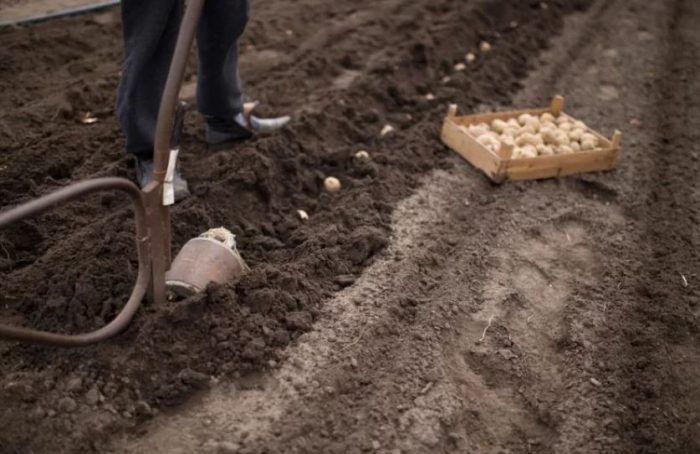 Метод на траншеята