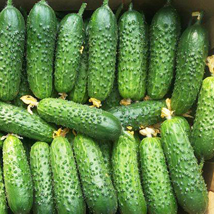 Разнообразие от мариноване