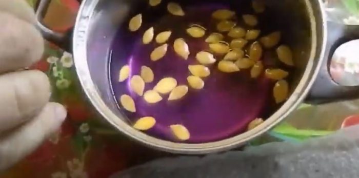 Накисване на тиквени семки