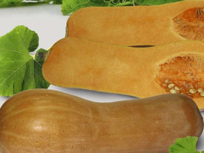 Прикубанска тиква