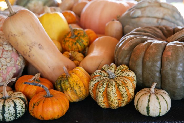 Разнообразие от тикви