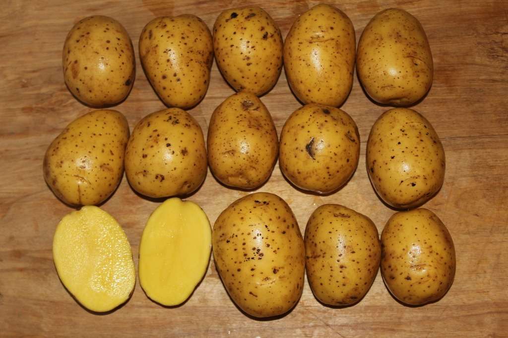 разположени грудки