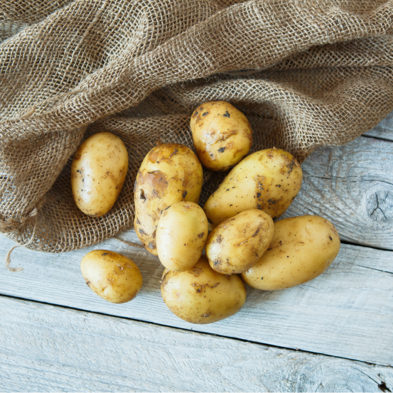 Разнообразие Гала в торбичка