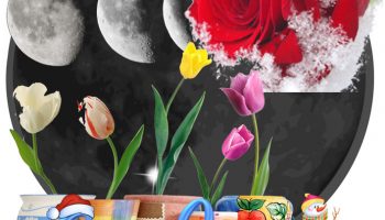 Цветя през януари