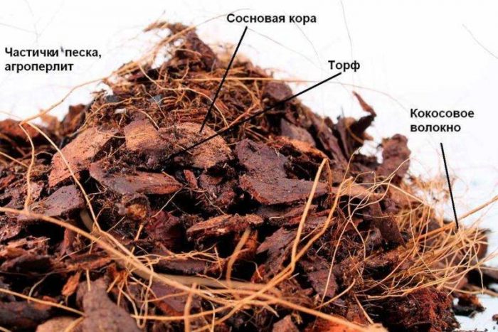 Почва за епифити