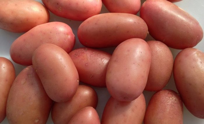 Красиви измити грудки