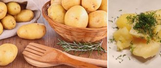 Първокласен сорт