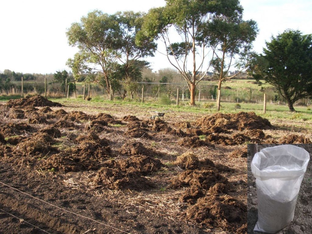 Подготовка на почвата за картофи Подготовка на почвата
