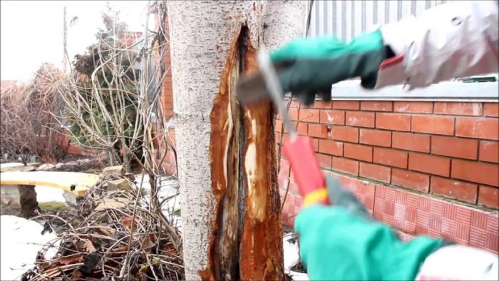 Как да се третират пукнатини от замръзване