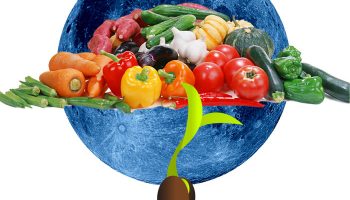 Луната и разсадът