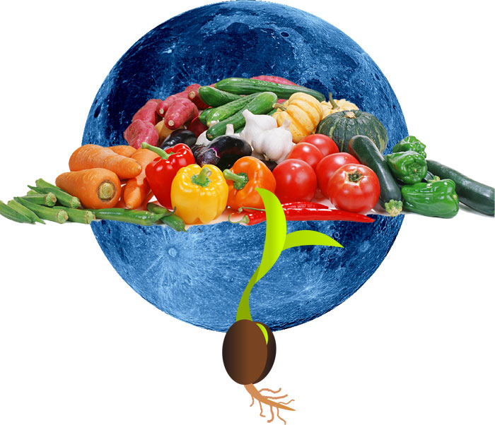 Помощ от Луната Луната и разсадът