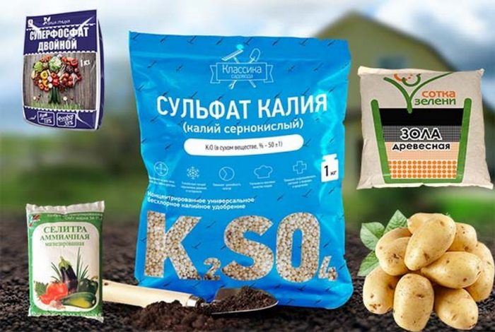 Торене на картофи