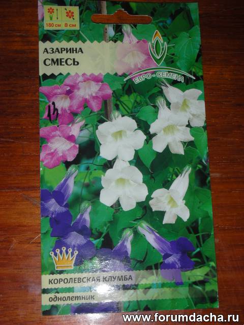 Ένα μείγμα από σπόρους αζαρίνας