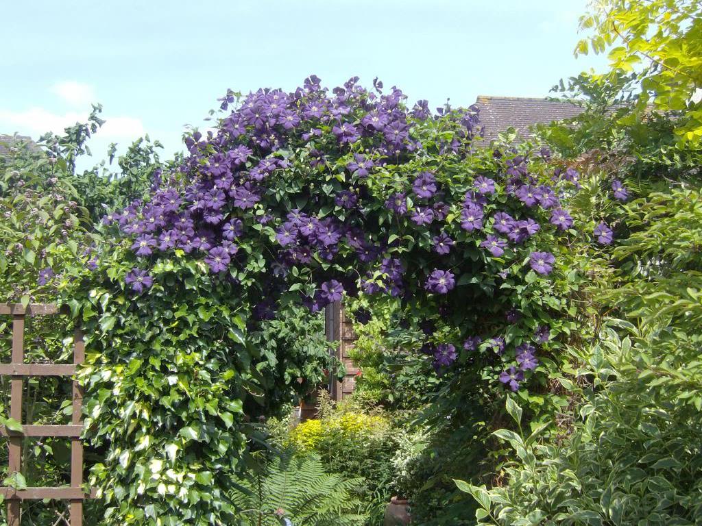 Арката на Азарина