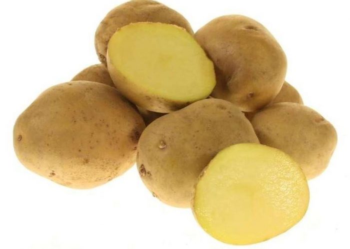 Разнообразие от желе