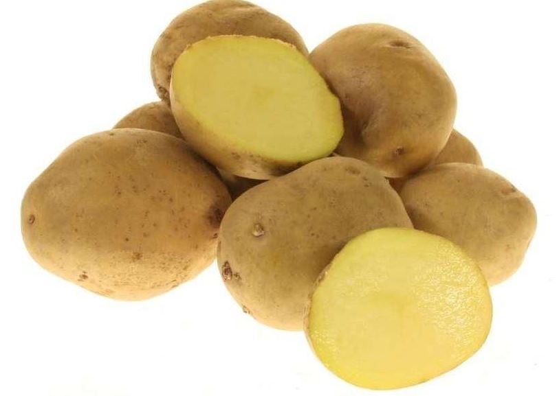 Разнообразие от желе