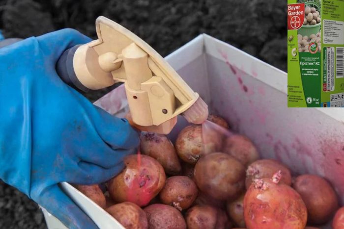 Преработка на картофи