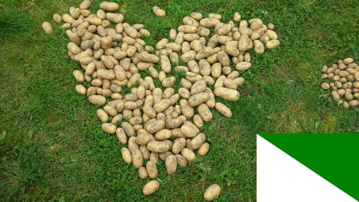 Квартофел за Сибир