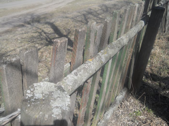 Лишеи на оградата