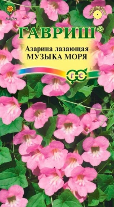 Семена Музика на морето Музика на морето