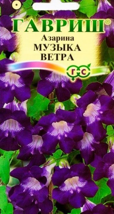 Духова музика от семена Разнообразие от духова музика