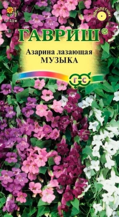 Музикално разнообразие, смесица от цветове Музикално разнообразие, смесица от цветове