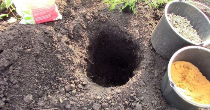 Дупка за засаждане