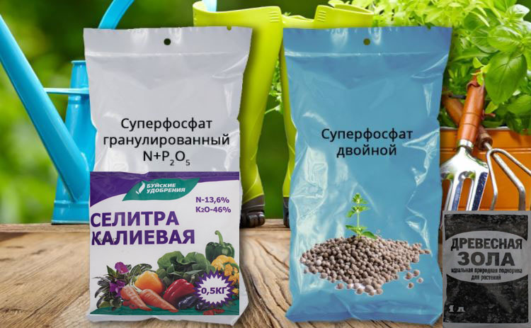 Тор за Вайгела Торове за Вайгела