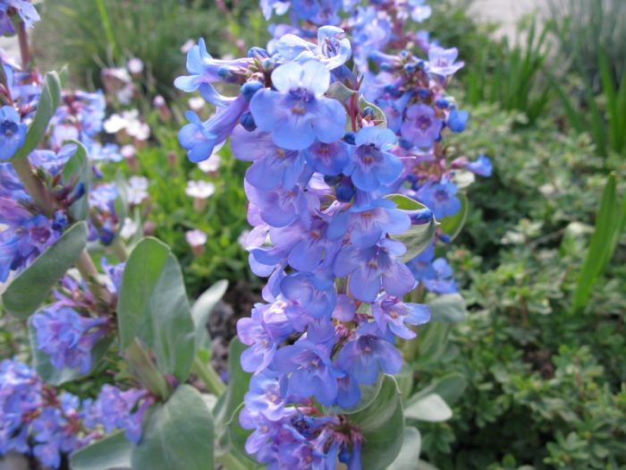 Гледката е брилянтна