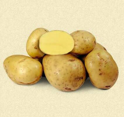 Картофи за семе Каратоп
