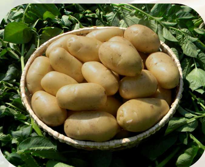 Аризона картофи в кофа