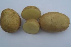 Аризона грудка