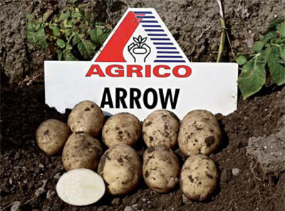 Семенен материал