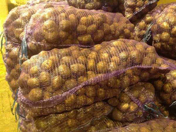 Сорт Артемис в торбичка