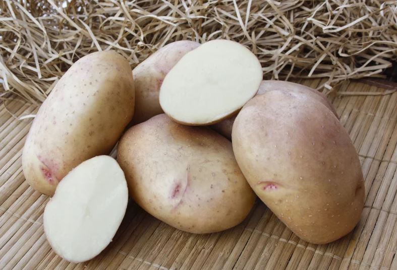 Ажурна секция