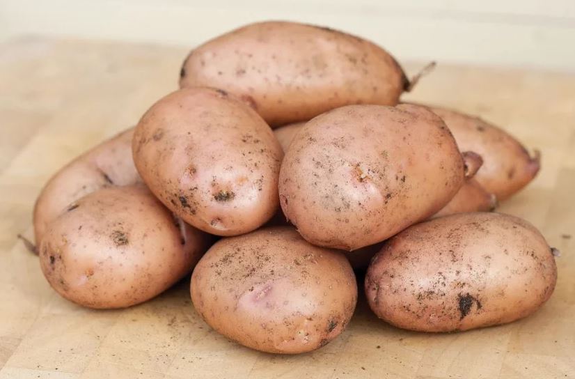 Сорт картофи Ажур