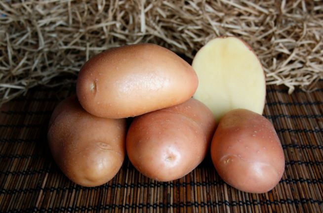 Разнообразие Ажур