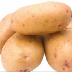 Картофи „Брянск Новини“