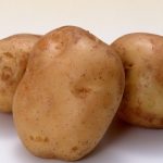 Сорт Бърновски