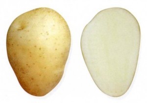 Сорт Чародей