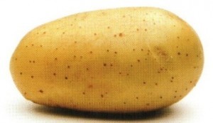 Грудка Фелокс