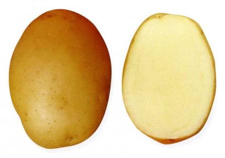 Картофени крепиши