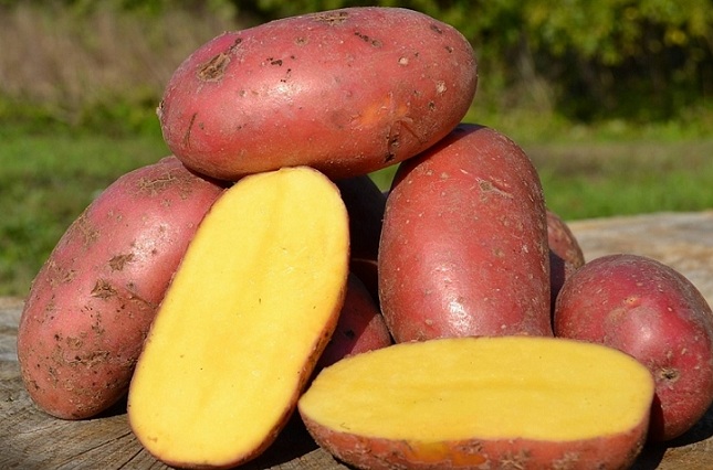 Картофи Лора в секция