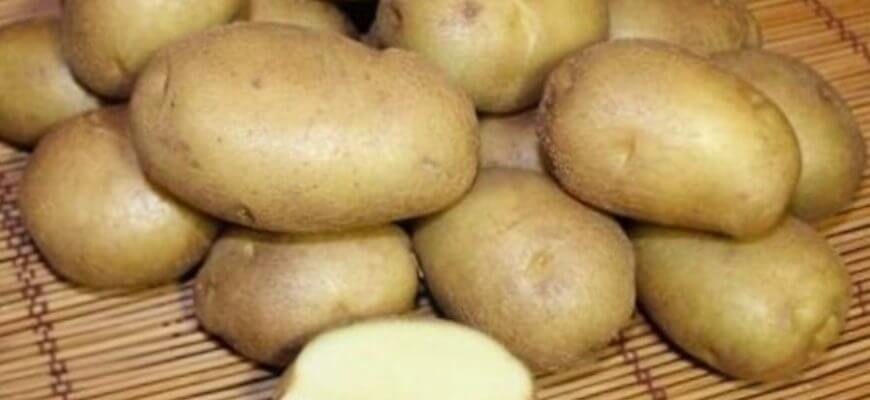 Любим картоф